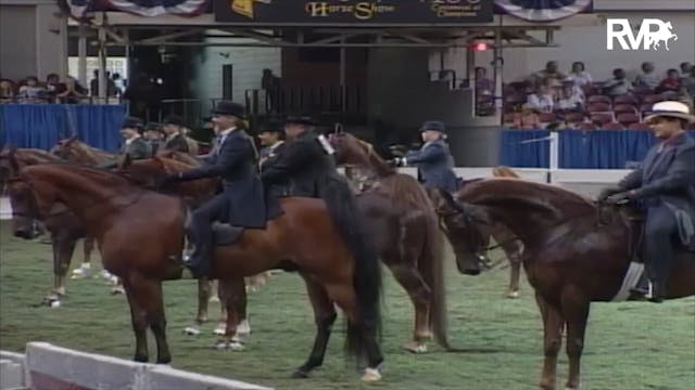 2003 WCHS Class 78 Junior Exhibitor F...