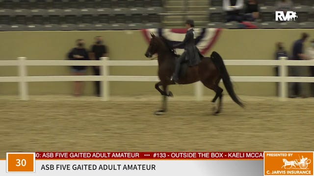 KFC 2020 - Class 30 ASB Five Gaited A...