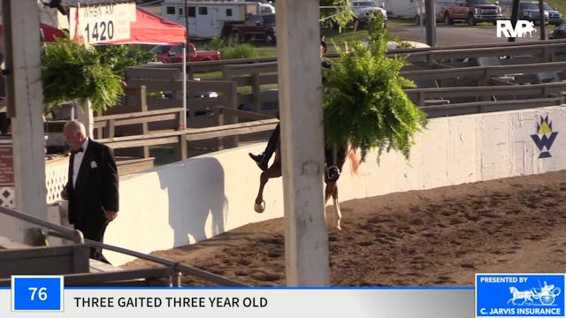 2020 MCF - Class 76 Three Gaited Thre...