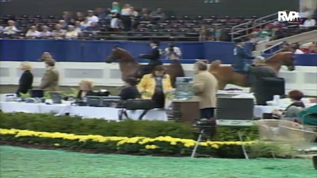 2000 WCHS Class 119 Equitation- Kentu...