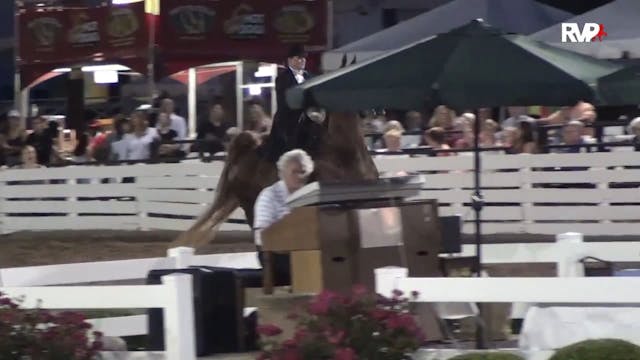 RC15 - Class 59 - Three Gaited Limit ...