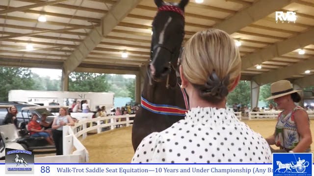 CTS25 - Class 88 - Walk-Trot Saddle S...