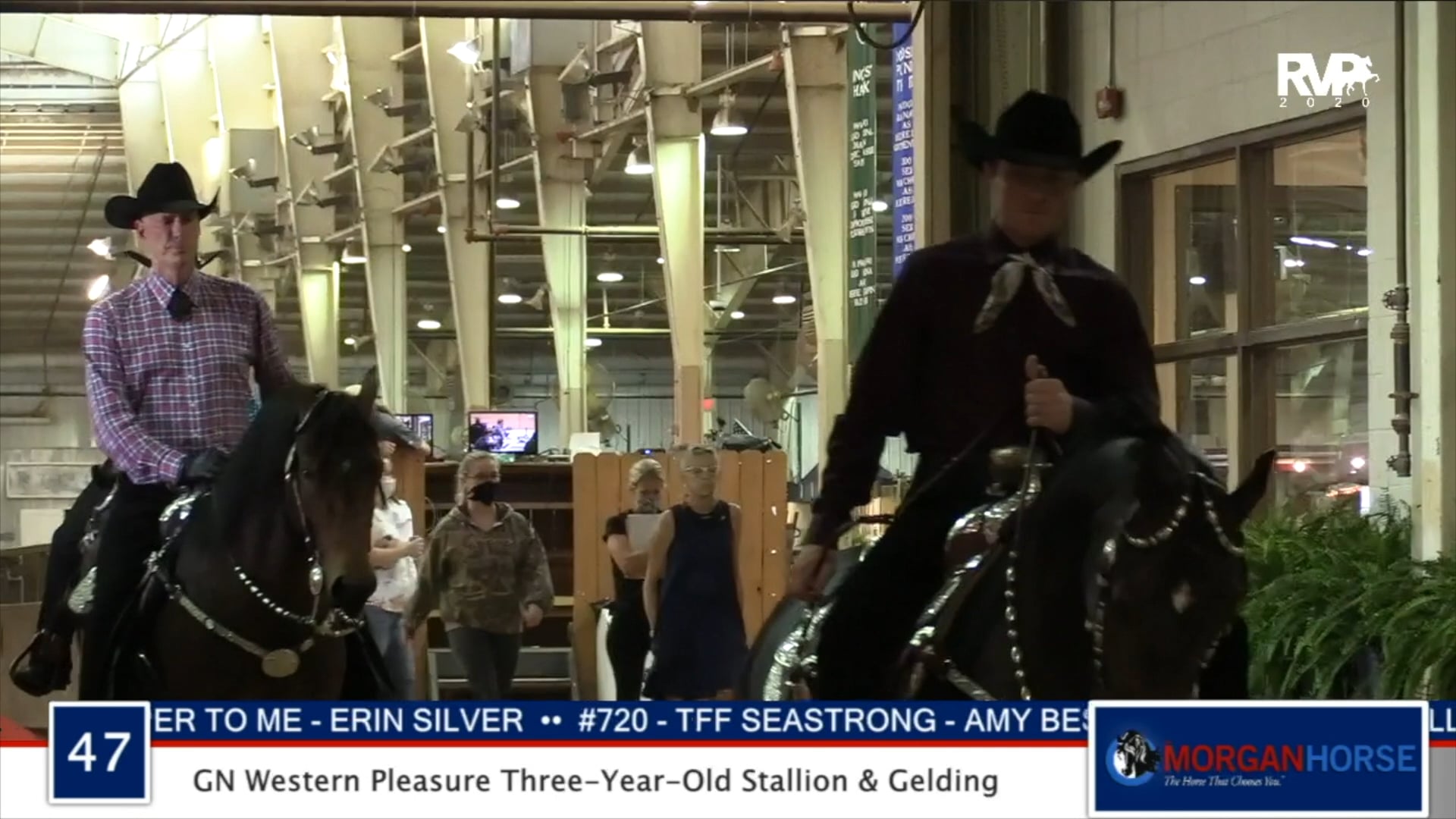 2020 MGN - Class 47 GN Western Pleasure Three-Year-Old Stallion & Gelding