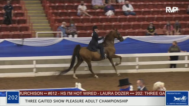 2020 BR - Class 202 Three Gaited Show...