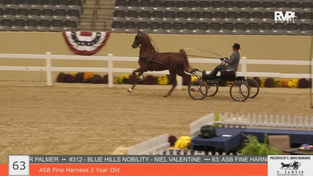 KYFC22 - Class 63 - ASB Fine Harness ...
