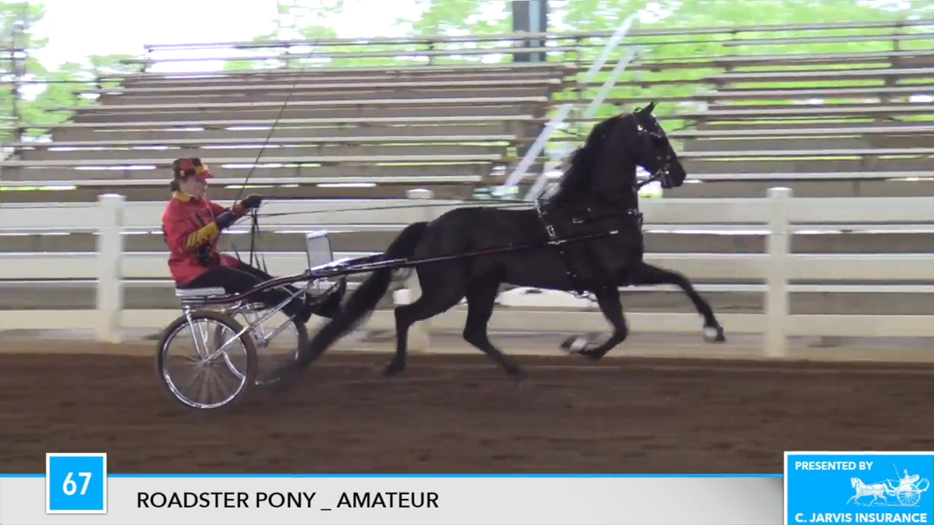 DC17 - Regal's Night Shadow LF