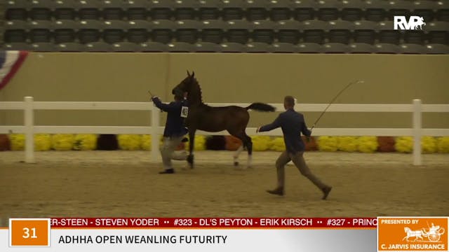 KFC 2020 - Class 31 ADHHA Open Weanli...
