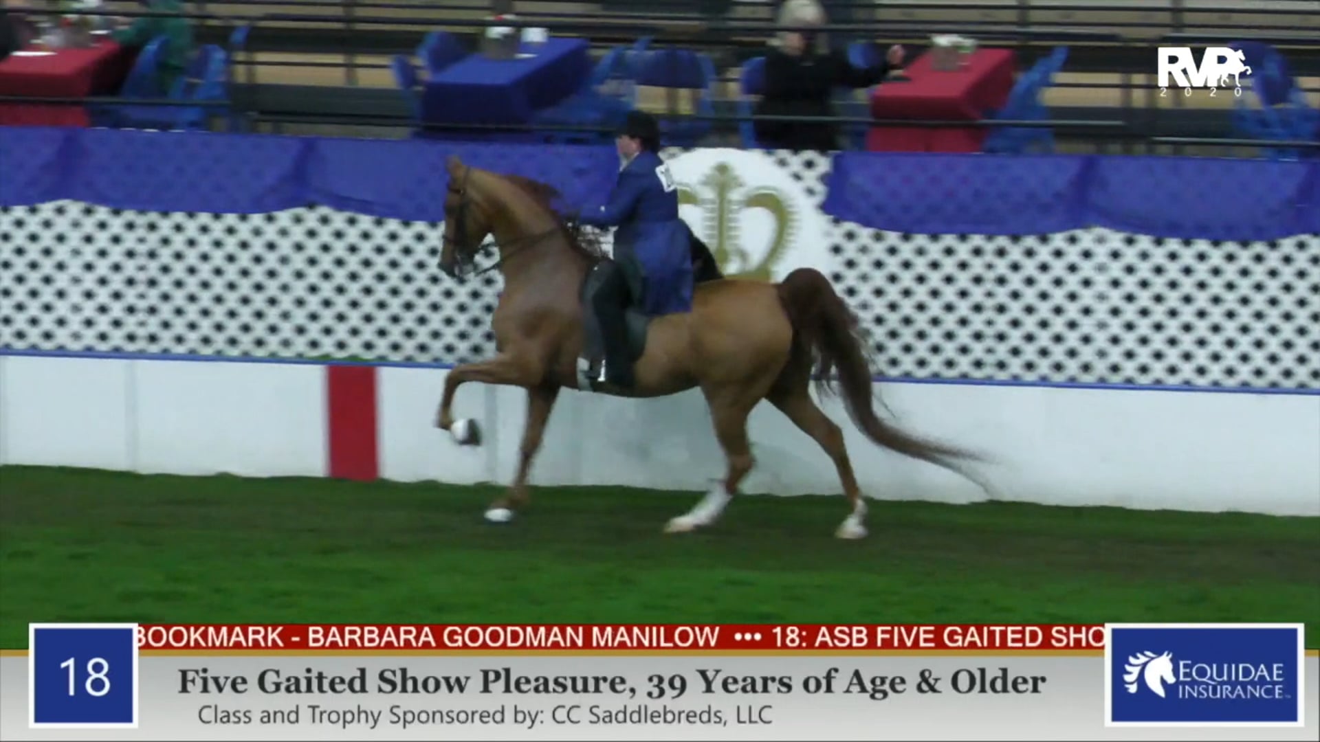2020 AR - Class 18 Five Gaited Show Pleasure
Rider 39 & Over