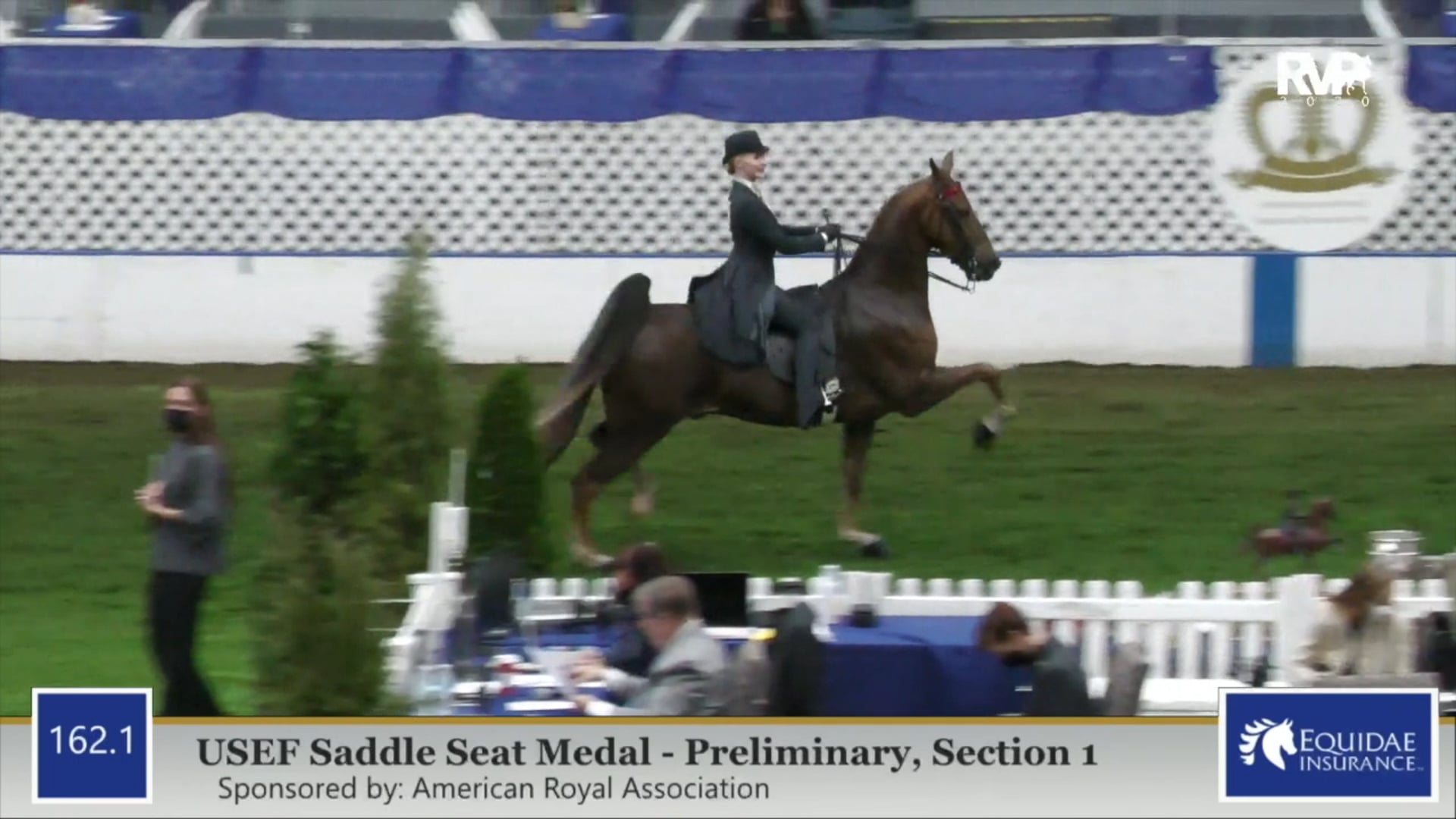 2020 AR - Class 162.1 USEF Saddle Seat Medal Preliminary Section 1