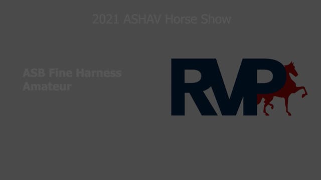 ASHAV21 - Class 1 - Fine Harness Amateur