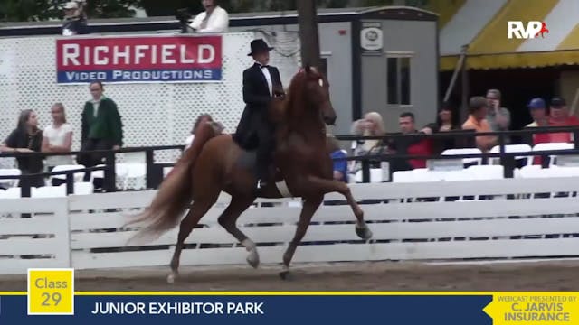 2015 RC - Class 29 Junior Exhibitor P...