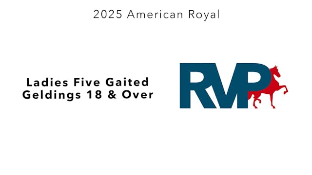 KC25 - Class 63 - Ladies Five Gaited ...