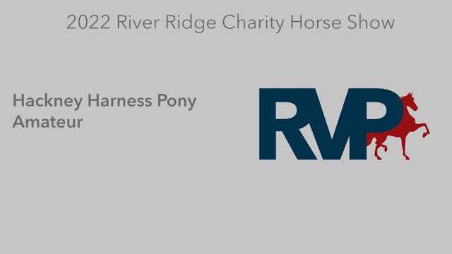 RR22 - Class 9 -  Hackney Harness Pon...
