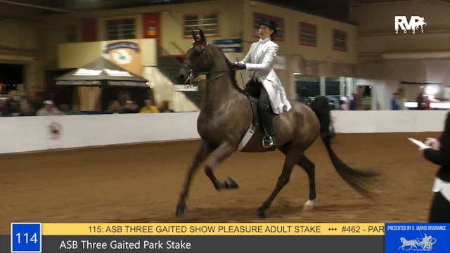 GASP21 - Class 114 - ASB Three Gaited...