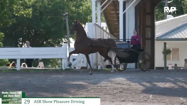 SCF25 - Class 29 - ASB Show Pleasure ...