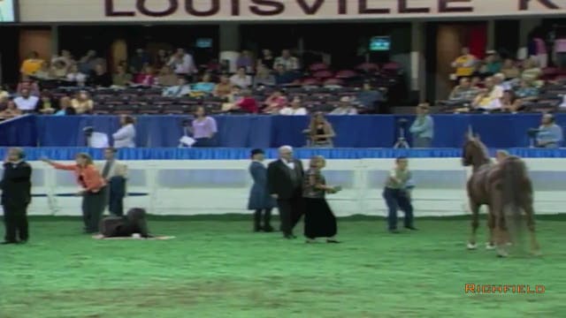 2002 WCHS Class 15 Kentucky County Fa...