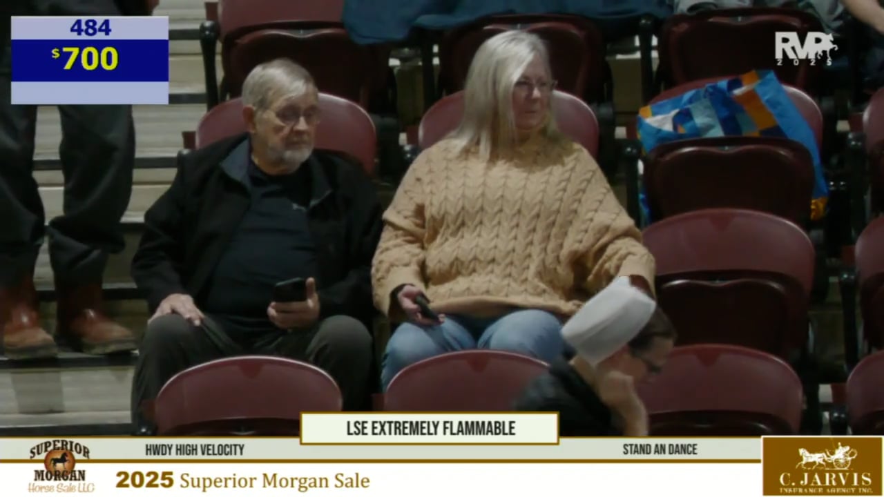 2025 Superior Morgan Sale - Friday Part 2