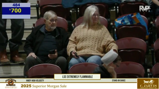 2025 Superior Morgan Sale - Friday Pa...