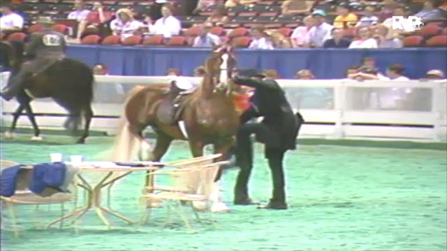 1992 WCHS Class 21 Junior Five Gaited...