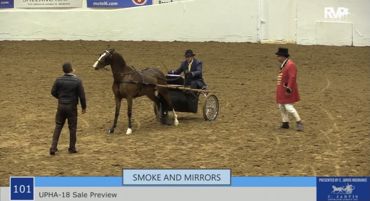  BB21 - UPHA 18 Sale Preview - Smoke and Mirrors