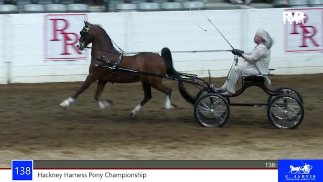 RR22 - Class 138 -  Hackney Harness P...