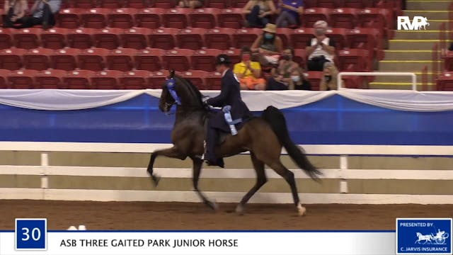 2020 BR - Class 30 ASB Three Gaited P...