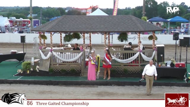 MCF25 - Class 86 - Three Gaited Champ...