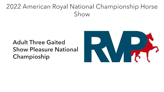 AR22 - Class 153 - Adult Three Gaited...