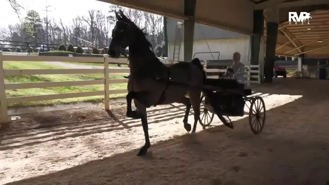 RSP26 - Class 7 - ASB Country Pleasur...