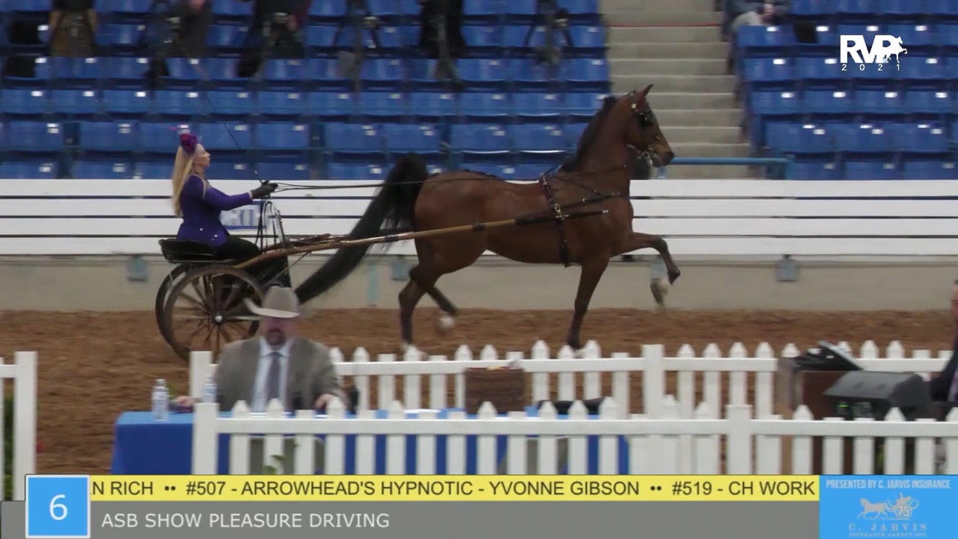 SSSF21 - Class 6 - ASB Show Pleasure Driving