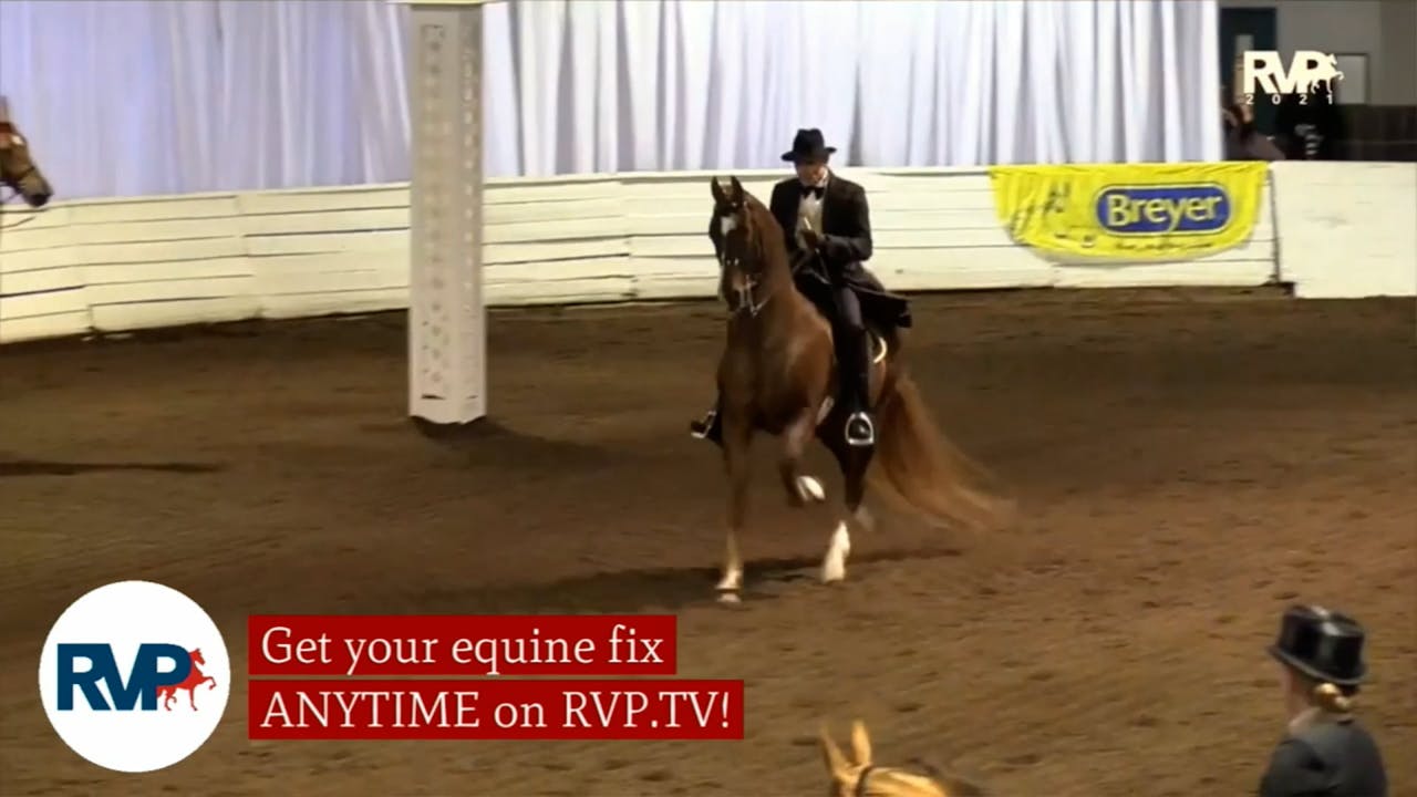 2021 American Royal Horse Show Friday Morning Richfield Video Archive