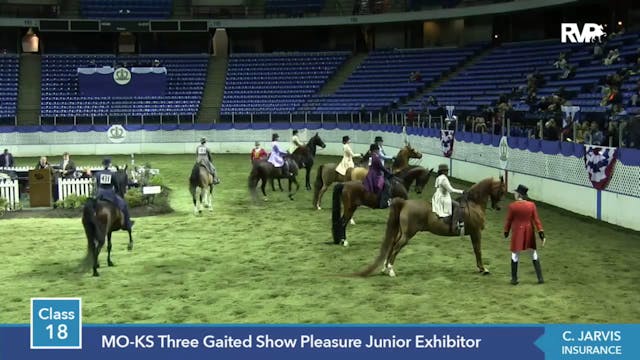 2014 KC - Class 18 MO-KS Three Gaited...