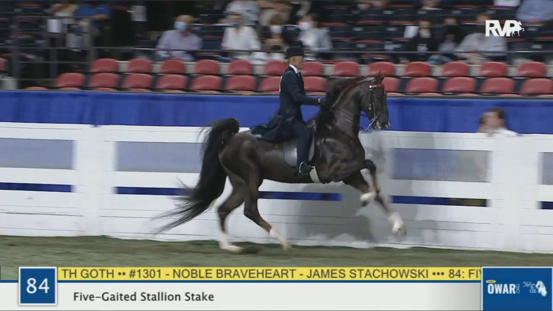 WCHS 2020 Class 84 - Five-Gaited Stallion Stake