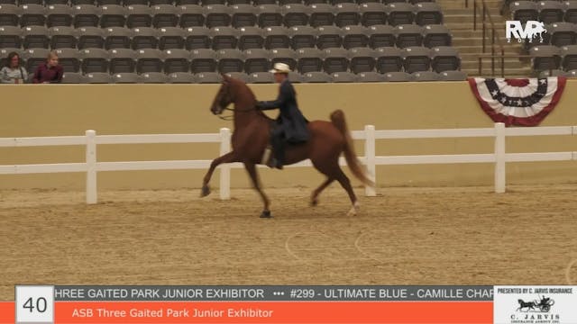 KYFC22 - Class 40 - ASB Three Gaited ...