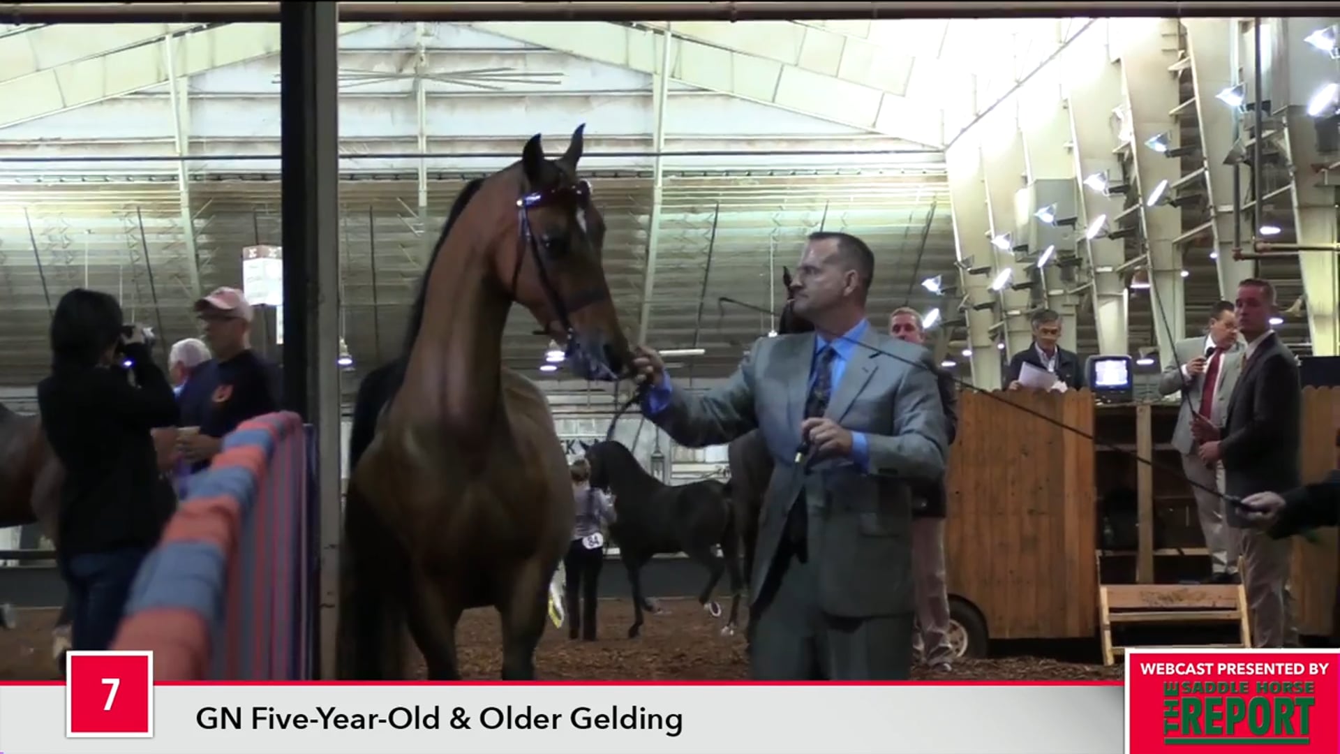 MGN17 - Class 7 - GN Five-Year-Old & Older Gelding