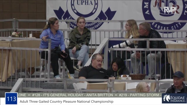AR22 - Class 113 - ASB Three Gaited C...