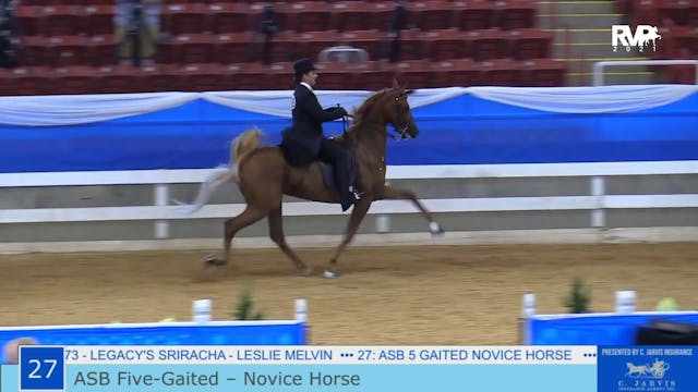 ASF21 - Class 27 - ASB Five Gaited No...