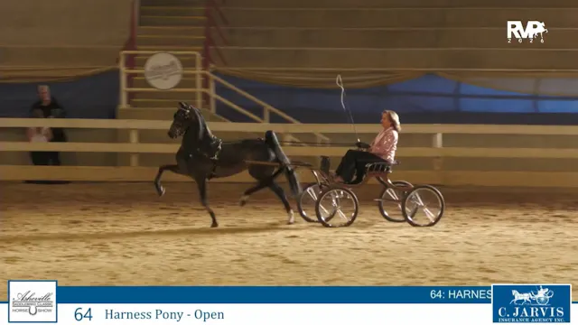 ASC26 - Class 64 - Harness Pony Open