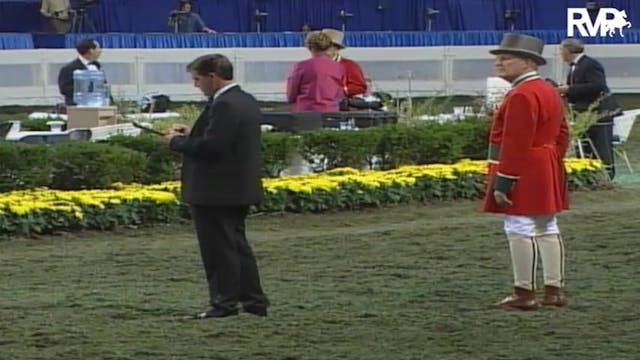 2004 World's Championship Horse Show ...