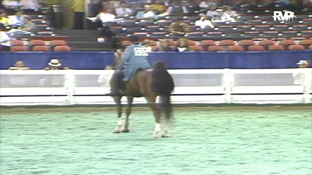 1991 WCHS Class 20 Junior Exhibitor T...