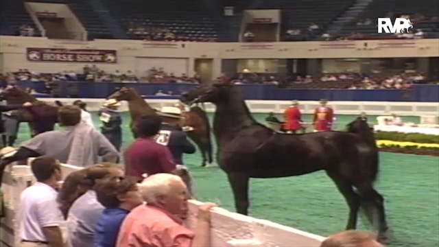 2000 WCHS Class 7 Kentucky County Fai...