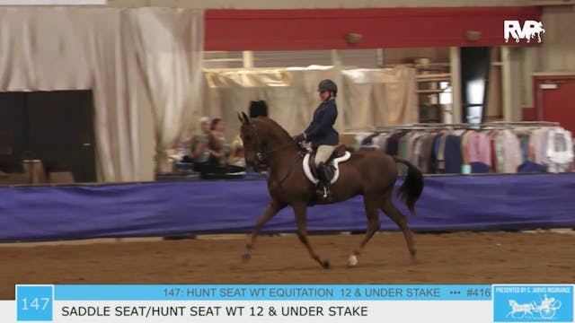 GASP23 - Class 147 - Saddle Seat-Hunt...