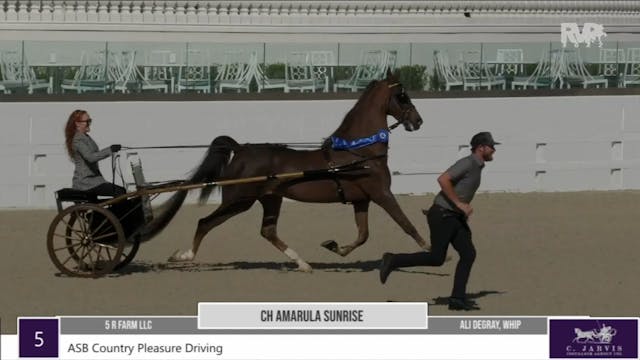 2022 Ocala International Horse Show -...