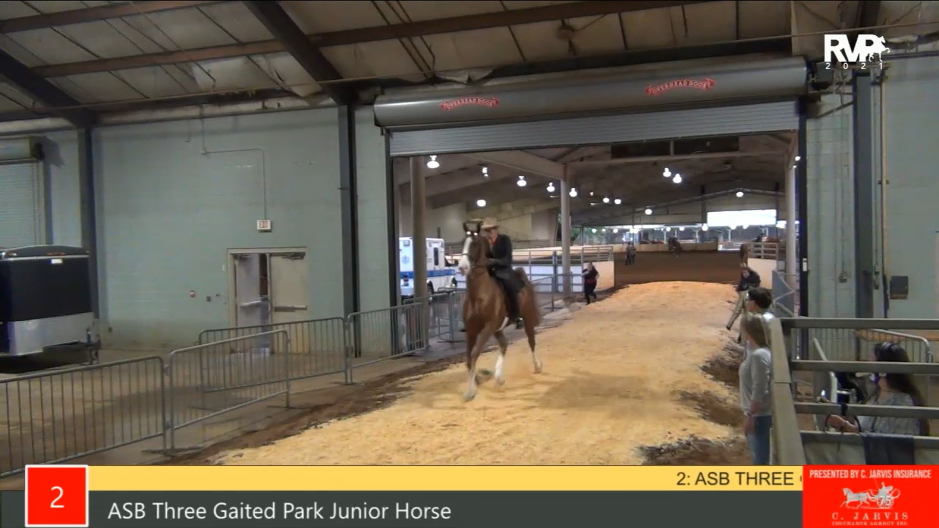 PA21 - Class 2 ASB Three Gaited Park Junior Horse