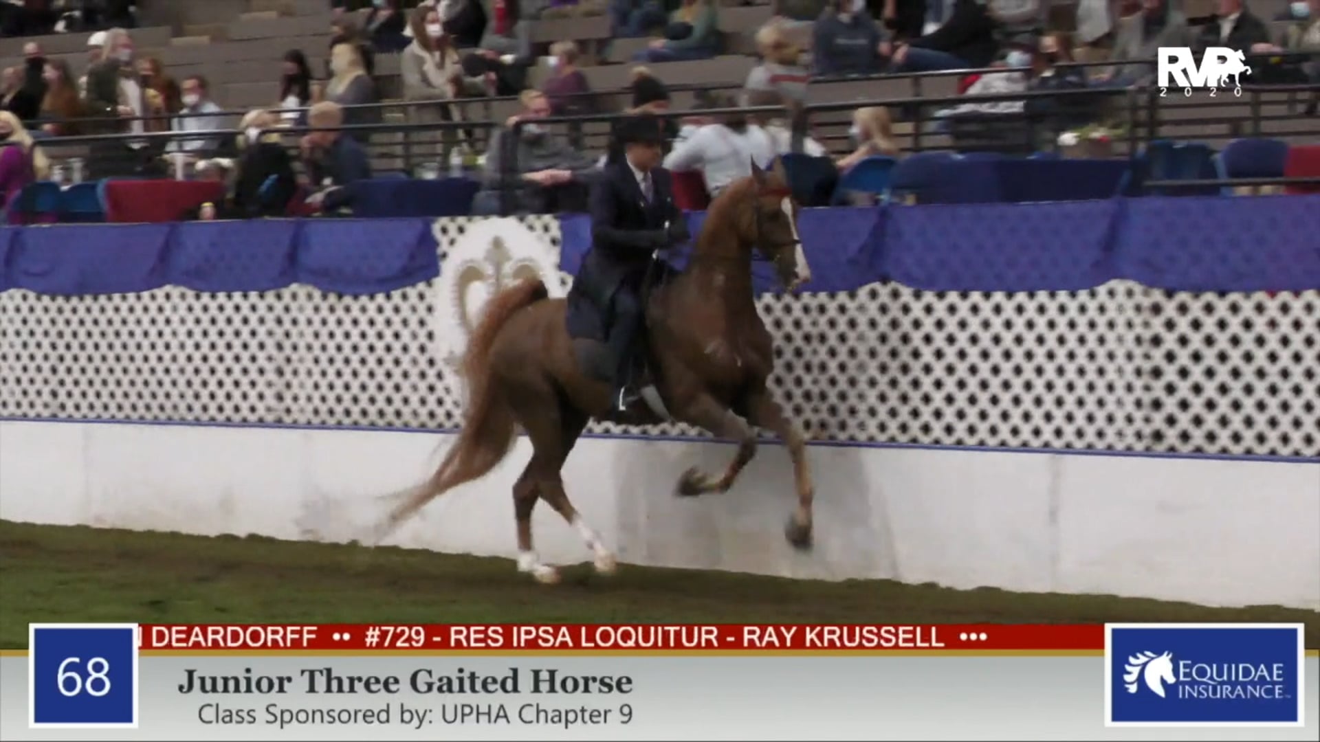 2020 AR - Class 68 Junior Three Gaited Horse