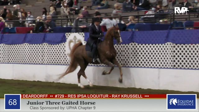 2020 AR - Class 68 Junior Three Gaite...