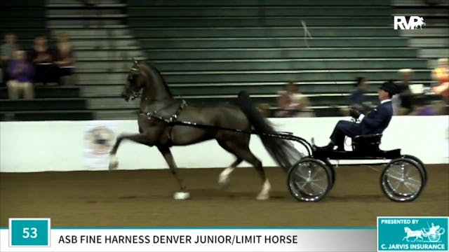 2019 Gasparilla Charity Horse Show - ...