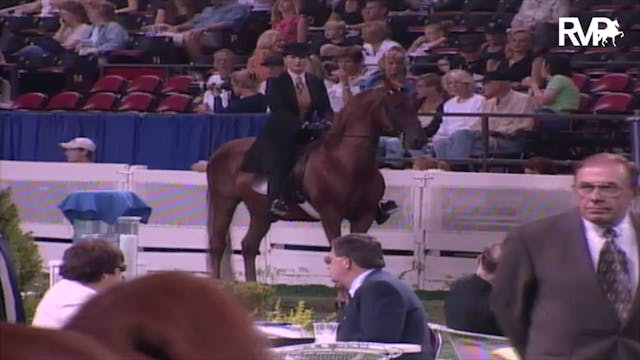 2003 WCHS Class 121 ASB Three Gaited ...