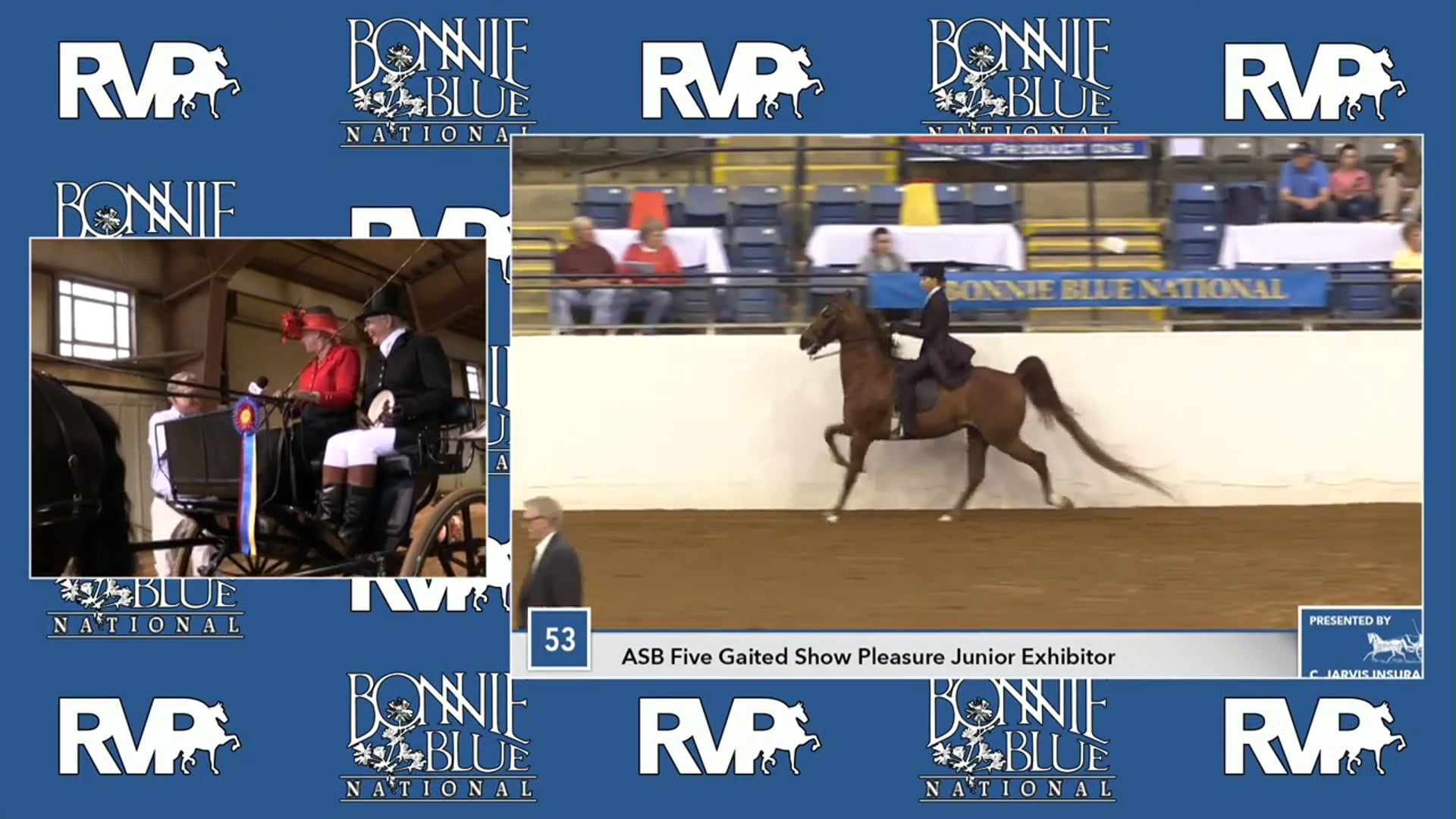 BB17 - Ozark P F - Champion Friesian Carriage Driving Open - Class 52