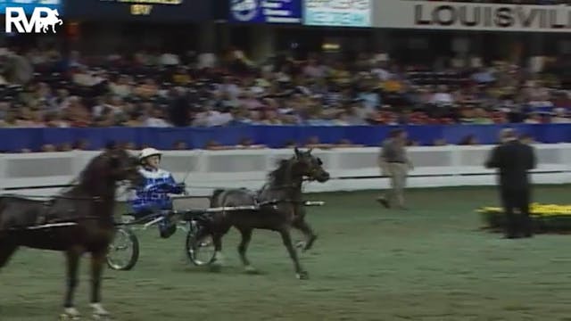 2004 World's Championship Horse Show ...